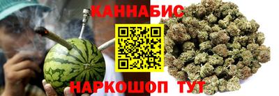 трава Сланцы
