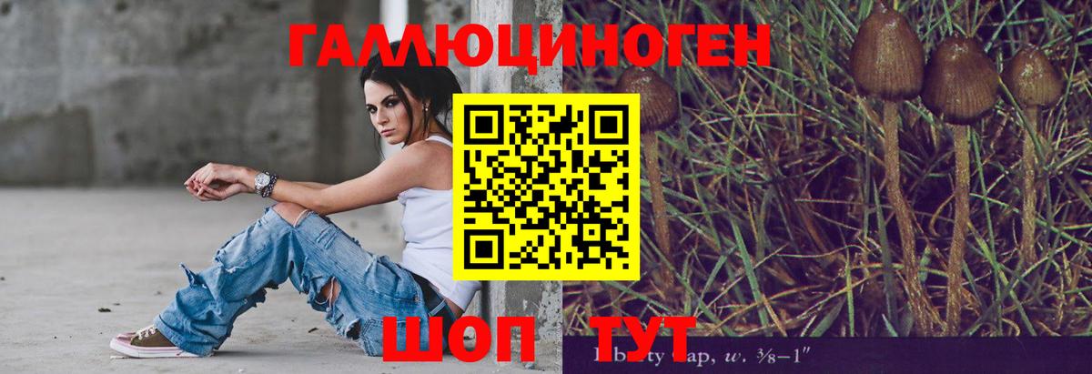 Осинники  Галлюциногенные грибы Magic Shrooms  Вход с VPN  Галлюциногенные грибы мухоморы 